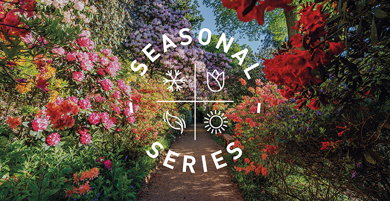 GROUNDED EVENTS INTRODUCE SEASONAL SERIES